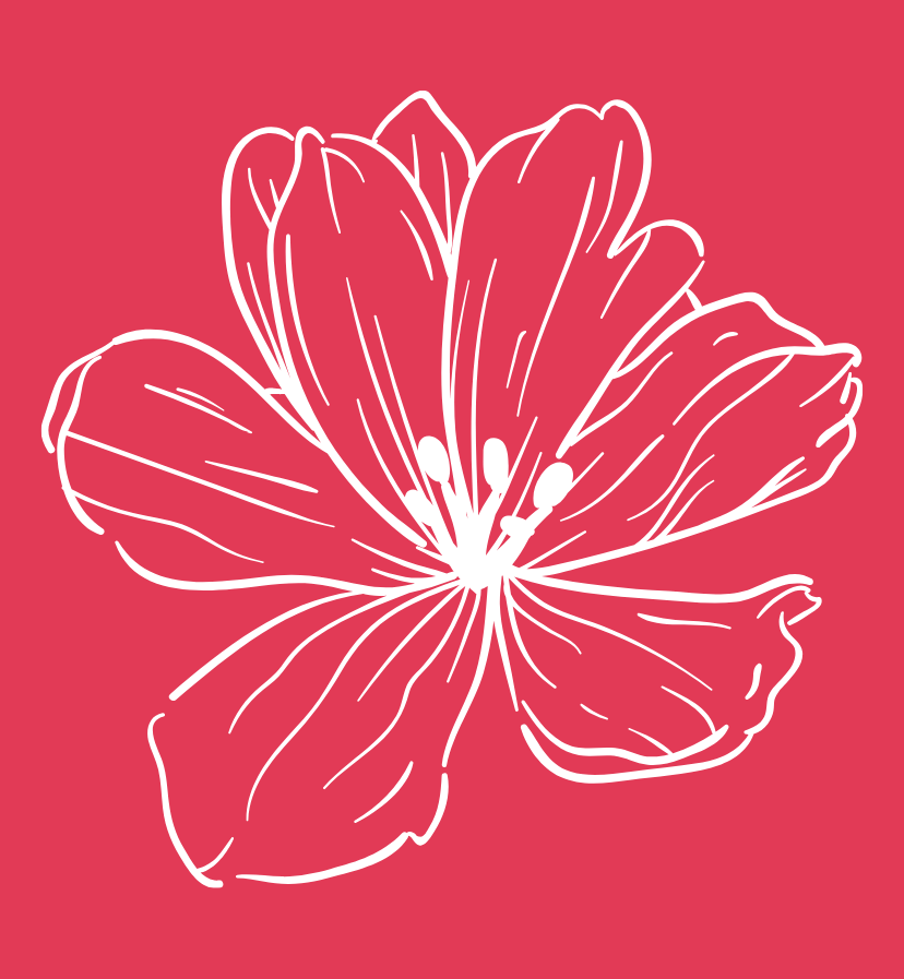 Illustration florale